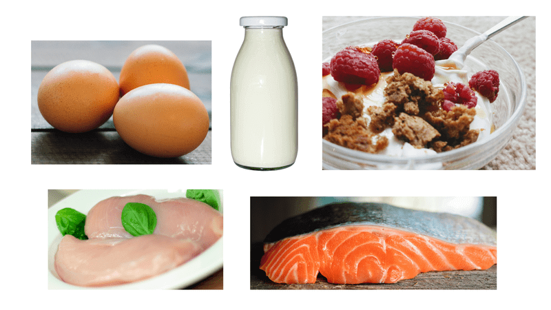 動物蛋白質食物
