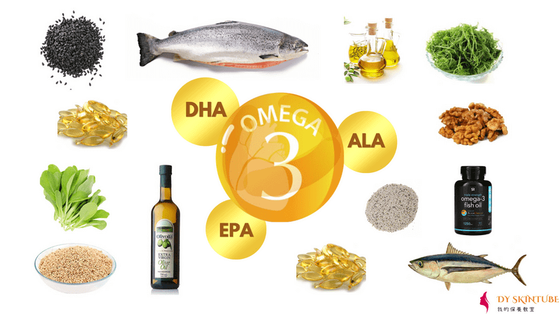 omega-3 多元不飽和脂肪酸 食物
